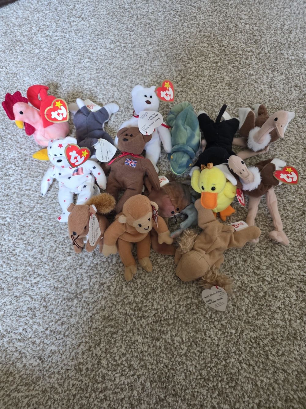 Ty Teenie Beanie Babies Mixed Animal Plush Lot - Multi Color